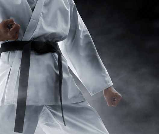 Alcohol recovery process martial arts