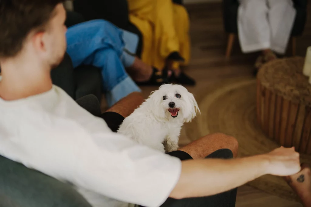 Narcissistic-Personality-Disorder-treatment-traits-help-innerlife-recovery